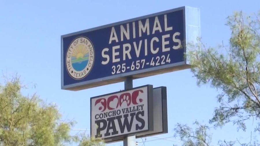 Animal Services director gives insight in wake of policy change
