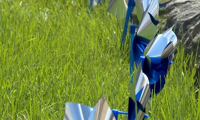 Children's Advocacy Center starts child abuse prevention month with pinwheel ceremony