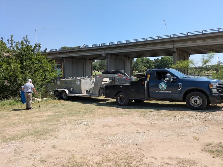 Concho River stocked with channel catfish ahead of Free Fishing Day