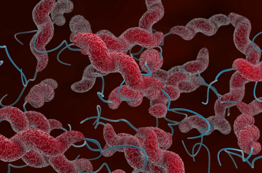 Ector County Health Department warns of rising campylobacter and salmonella cases