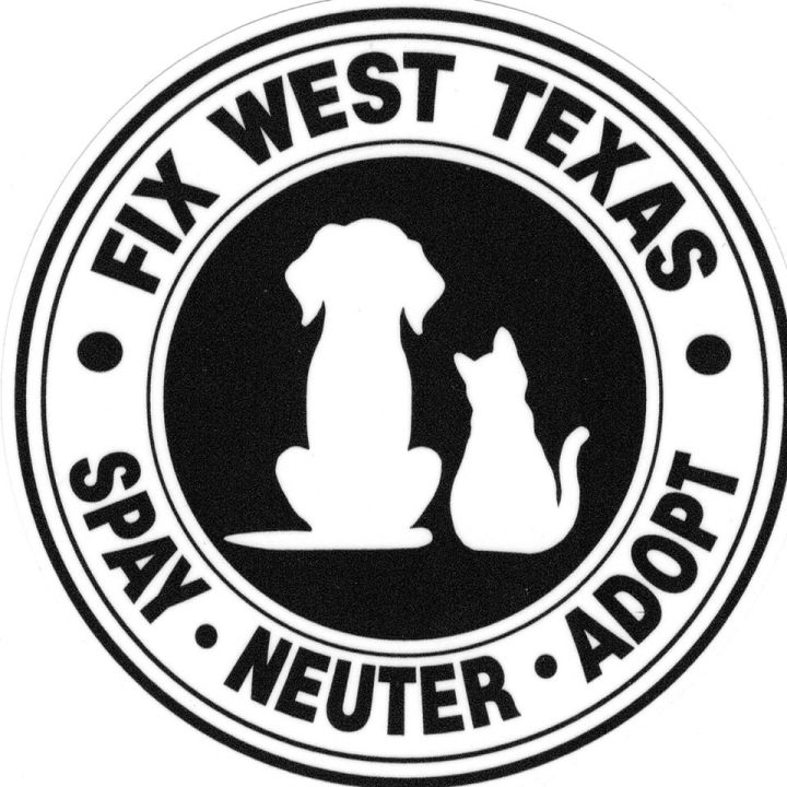 Rescue with Ric: Meet Warren and Whinny