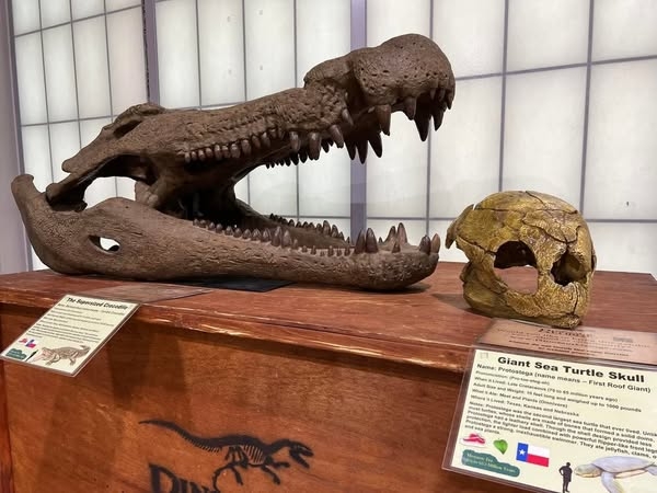 This traveling museum brings the past to life for kids this weekend