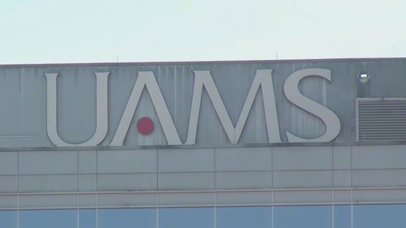 UAMS scientist awarded $1.9 million to study air pollution, breast cancer