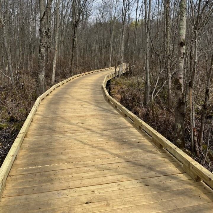 Beaver Lake boardwalk on track for early summer reopening