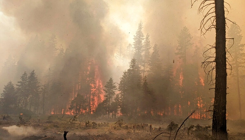 Oregon Republican lawmakers introduce bill to repeal ‘flawed' Wildfire Hazard Map