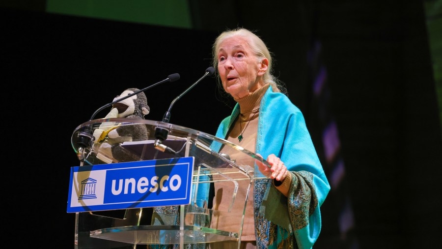 Chimpanzee expert Jane Goodall to visit Oregon as part of lecture series