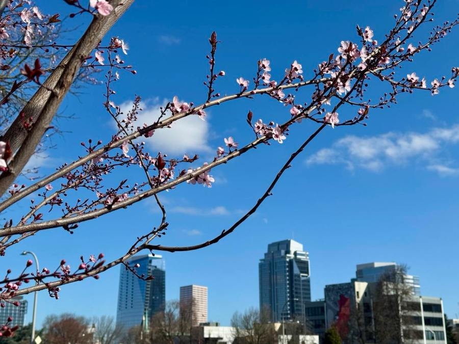 May weather outlook: Warm and dry days are on the way
