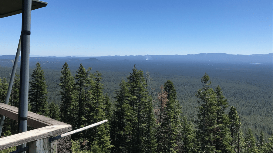 Oregon groups concerned over Trump admin plans to log nearly 60% of national forest land