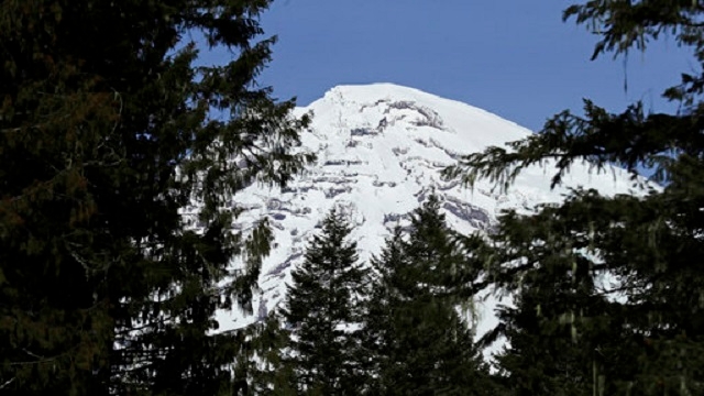 Washington ranked among top 10 ‘greenest' states in 2025