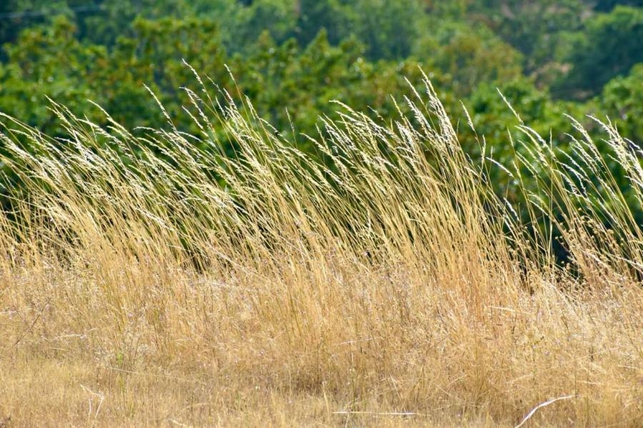 Oregon is finally drought free despite recent rainfall gaps