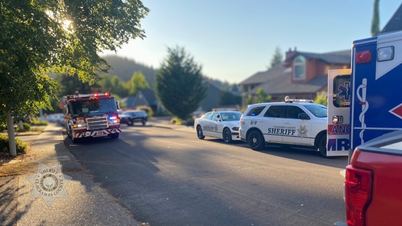 Happy Valley father shot to death; Man, 72, arrested