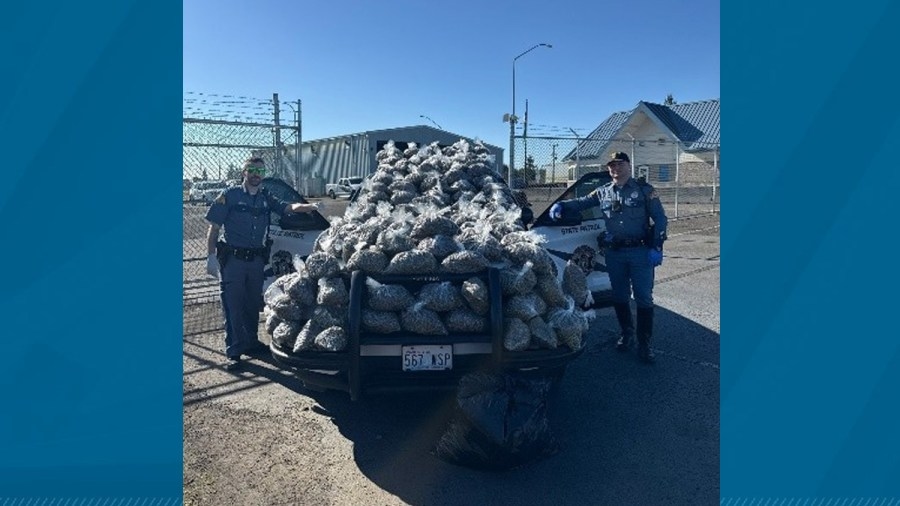 Troopers seize nearly $1 million in marijuana, ketamine during Clark County traffic stop