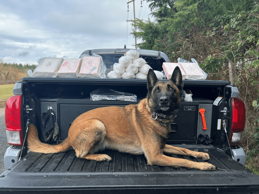 Police seize enough fentanyl ‘to kill everyone in Portland twice,' arrest 46 in multi-agency trafficking crackdown