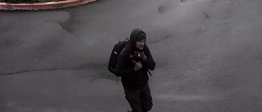 PHOTOS: Catalytic converter thief caught on camera at Reynolds School District, still at large