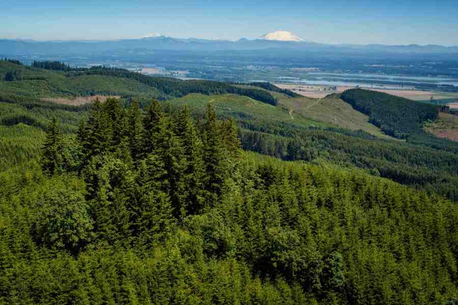 OSU buys over 3,000 acres of research forest northwest of Portland