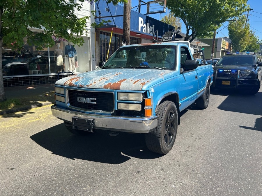 ‘Reckless' blue truck driver tied to infamous Instagram account appears in court