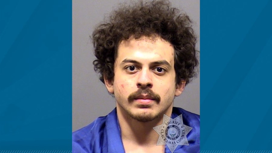 Man sentenced after running red light while high on mushrooms, killing 2