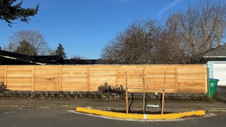 Next phase of project boosting Lents neighborhood's tree canopy is underway