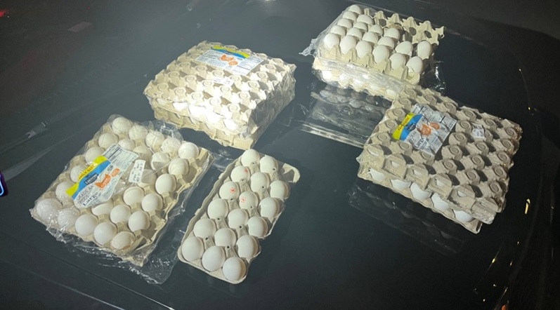 Homeless in Salem pelted by eggs; man, woman arrested