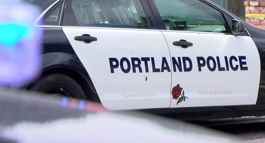 Portland police, businesses ‘cautiously optimistic' for weekend's anti-Trump protest