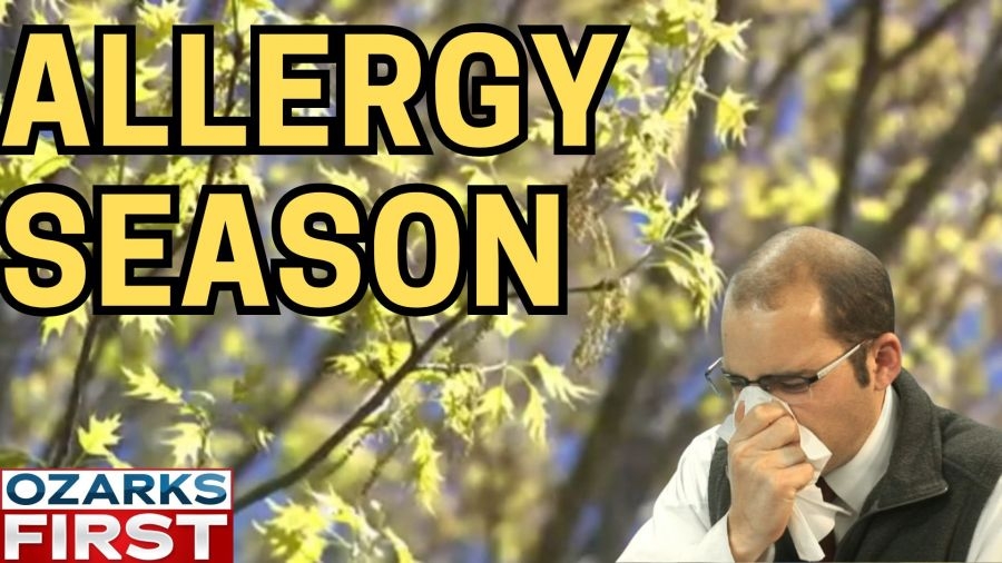 Defending against allergies in the Ozarks