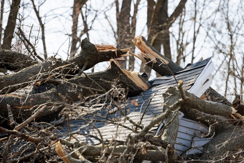Home repair aid is available for low-income seniors in Greene County after severe storms