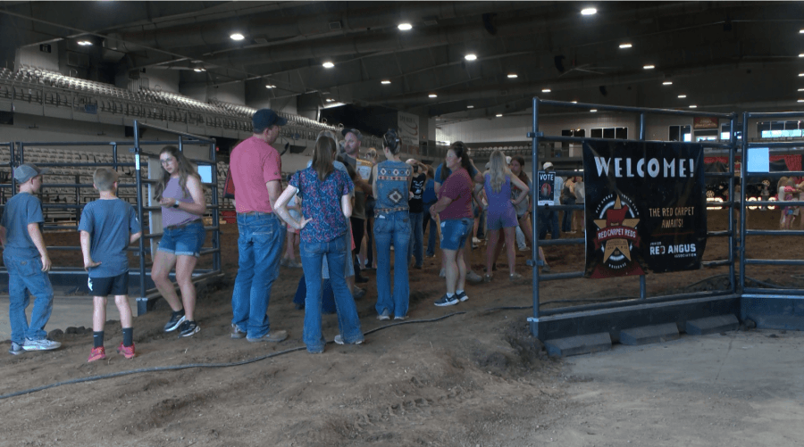 Springfield hosts Red Angus Youth Expo for agriculture education