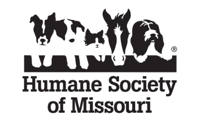 10 dogs rescued in Greene County among 50 saved by Humane Society of Missouri