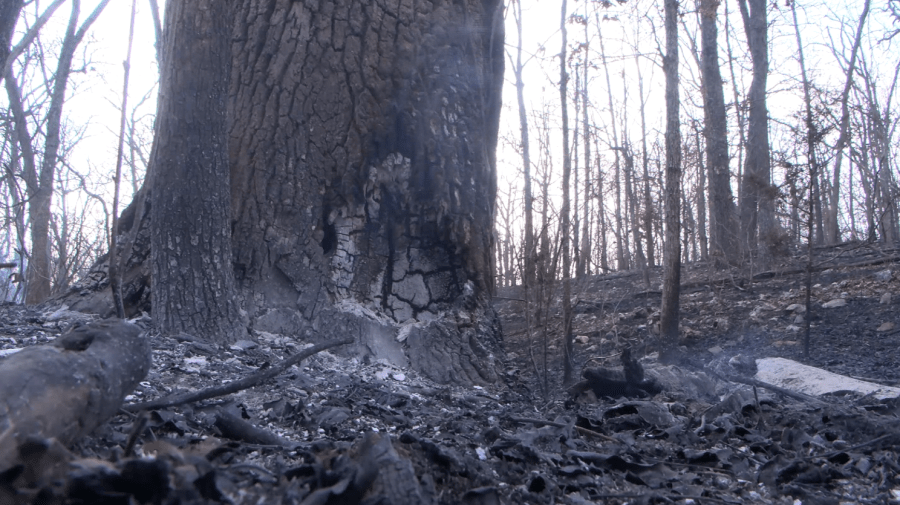 Camden County issues county-wide burn ban until April 1
