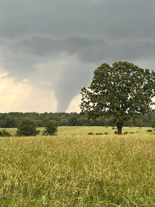 Tornadoes one year ago on this date