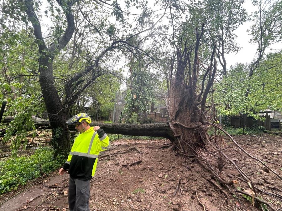 When will Dickerson Park Zoo reopen after the storm?