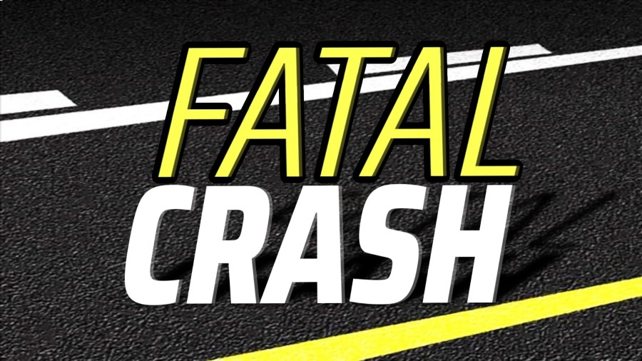 Gainesville man dies after truck crashes into several trees off roadway