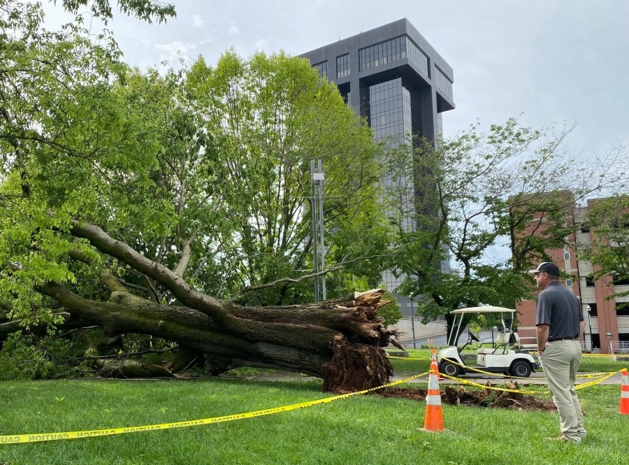 Greene County storm damage attributed to straight-line winds