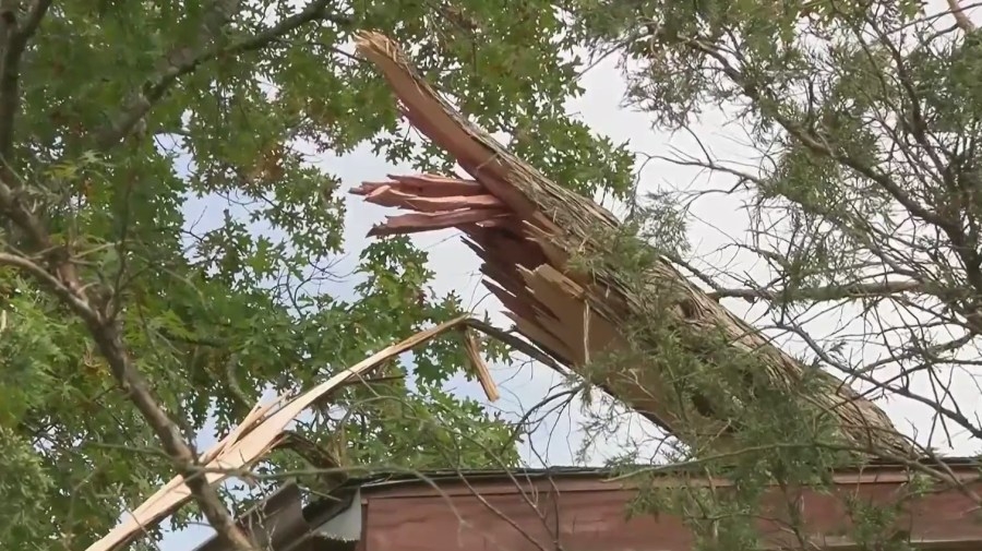City of Springfield advises residents on safe storm debris disposal