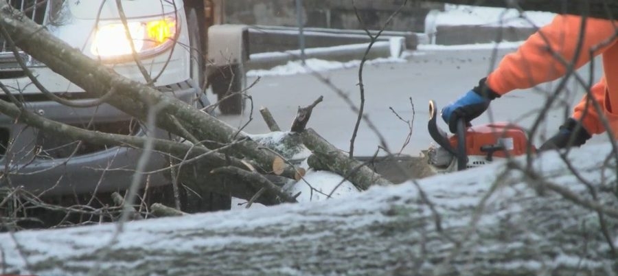 High winds cause hundreds of power outages, knock over trees