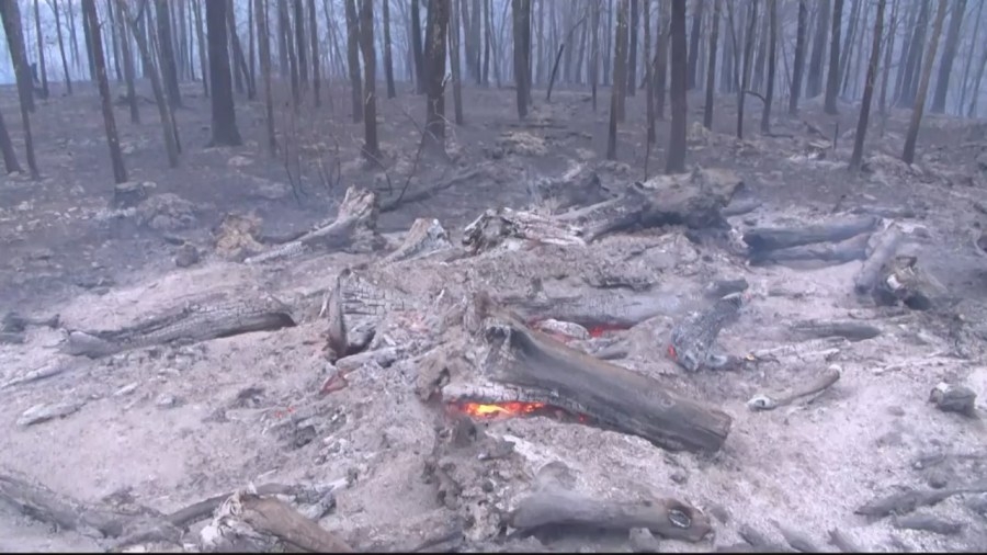 Crews battling massive fire in Douglas County since Sunday