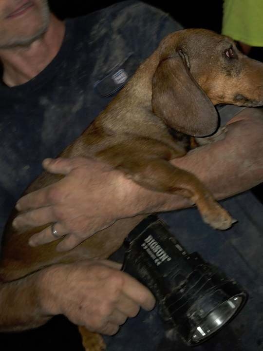 Missouri firefighters dig tunnel to rescue dog
