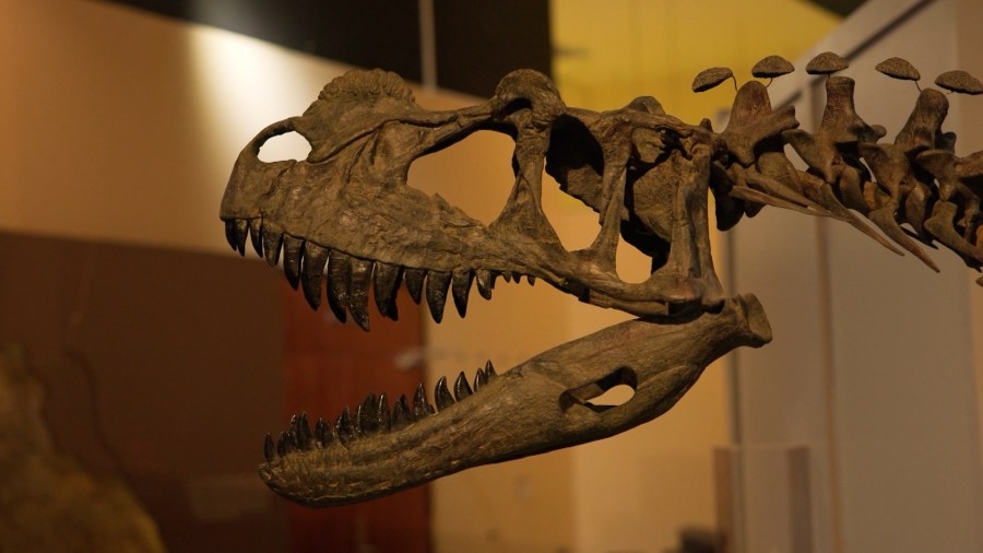 Dinosaur Journey offers prehistoric fun at Dino Day