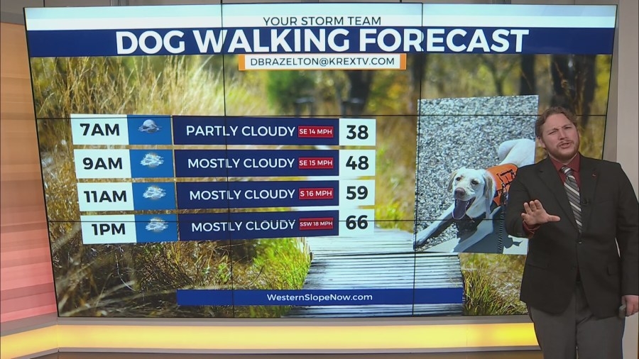 Freeze warnings issued ahead of last warm day of the week