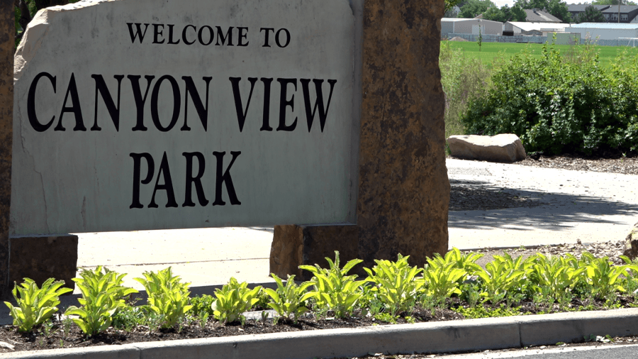 No Kings demonstration scheduled for Saturday, reaction from locals