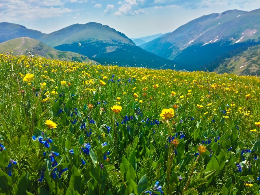 Colorado conservation organizations award grants to land trusts and conservation nonprofits