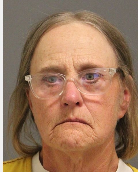 1 of 2 suspects in election fraud scandal pleads guilty