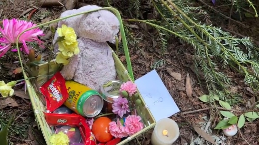 Growing memorial for Marin County crash victims includes flowers, Easter baskets: video
