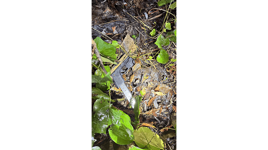 Armed high school student fled campus, dumped loaded gun: Pinole PD