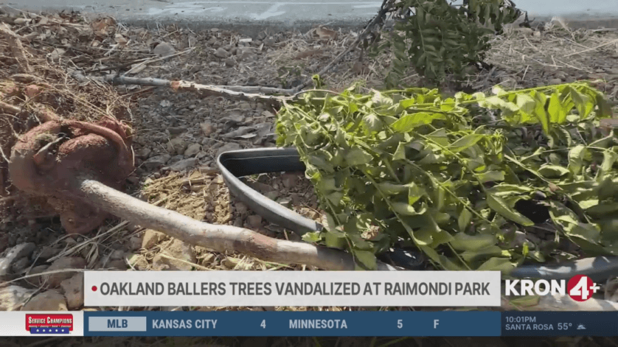 Trees vandalized outside West Oakland ballpark