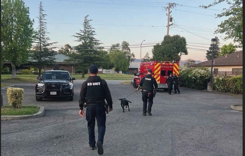 Parolee tased, arrested in Petaluma
