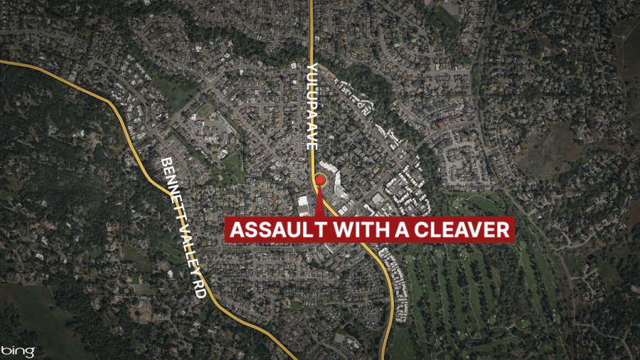 Former restaurant employee faces attempted murder in Santa Rosa cleaver attack