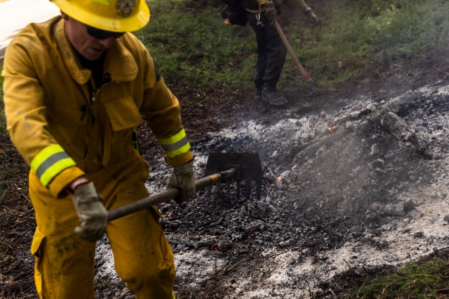 East Bay parks to spend $10.9M reducing fire fuels