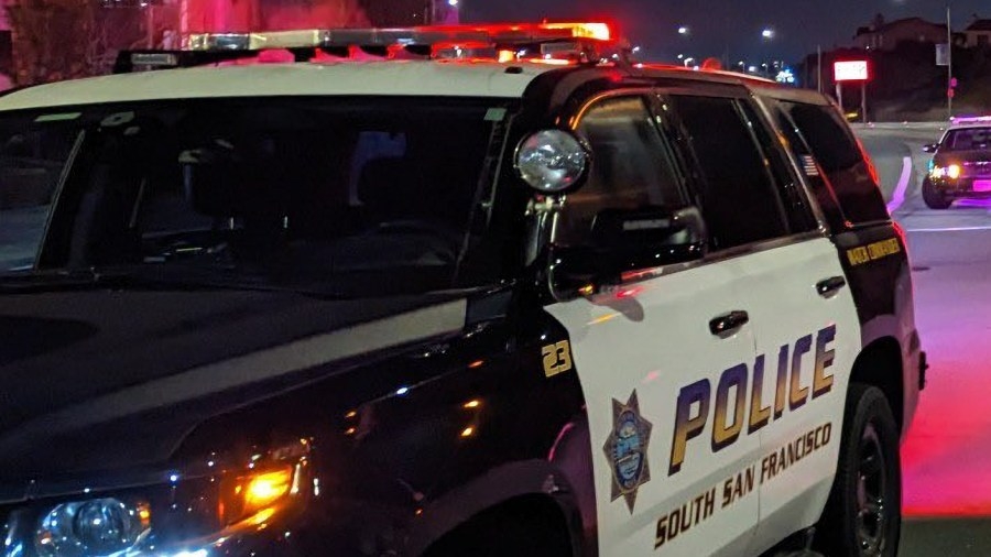 19-year-old driving Dodger Charger in ‘reckless manner' arrested after SSF hit-and-run: police