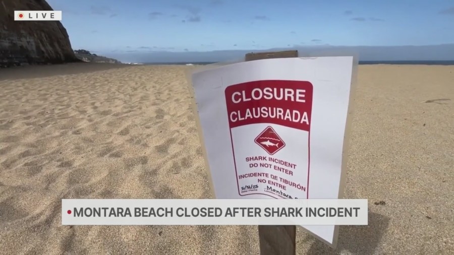 Montara State Beach reopens following shark attack